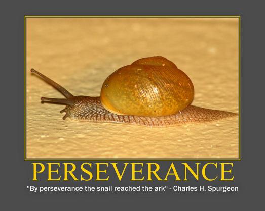 Perseverance-1